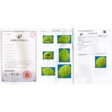 Bike helmet ocver patent  01